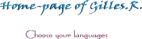 Kies uw taal en klik op de gewenste vlag.
Choose your languages en click on the flag.